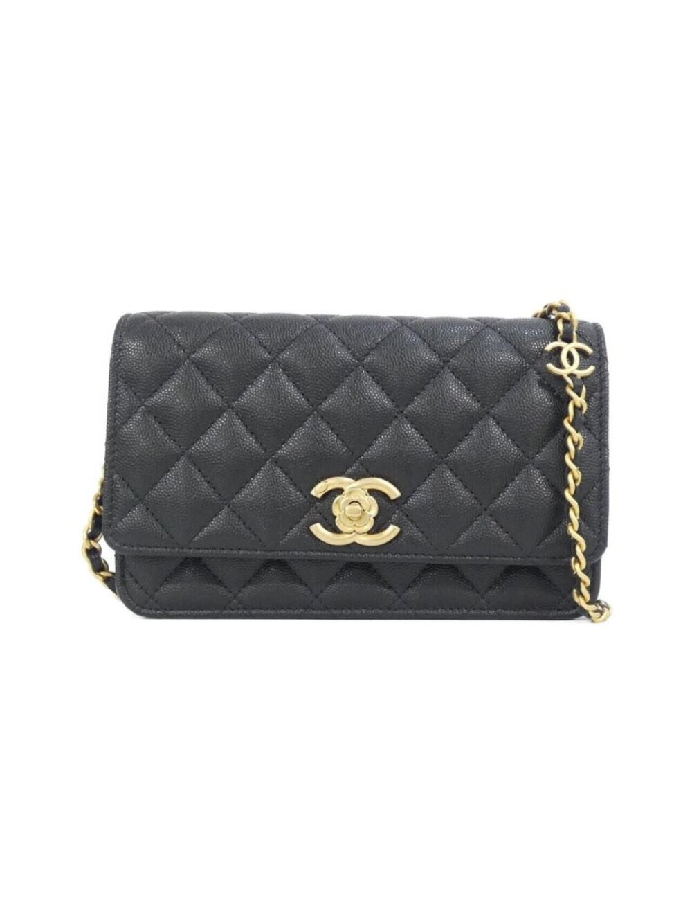 Chanel Chain Wallet Shoulder Bag
